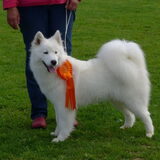 tolinka (mama van mikai)