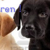 Foto van Team Black & White