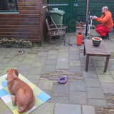 de mannen en hun hobbies