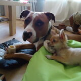 Samen lekker botjes kauwen
