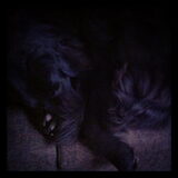 sleepy
