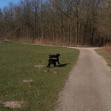 Foto van tessa