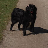 Foto van tessa