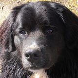 Foto van tessa