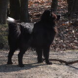 Foto van tessa