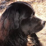 Foto van tessa