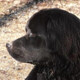 Foto van tessa