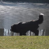 Foto van tessa