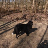 Foto van tessa