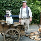 in Bellewaerdepark :)