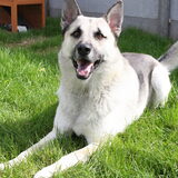 Foto van Inneke Snels