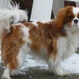Ella 1.5 jaar