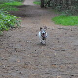 Foto van Sally