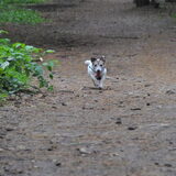 Foto van Sally