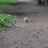 Foto van Sally