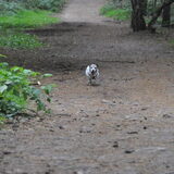 Foto van Sally