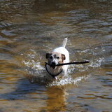 Foto van Sally