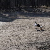 Foto van Sally