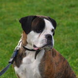 Foto van Sally