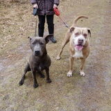 Olijke Duo! Viper en Axa