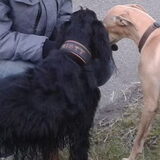 Foto van Ina, Misty en Aysa