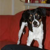 Foto van deborah