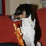Foto van deborah