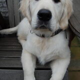 Stoere Max