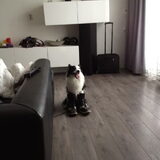 Foto van Amigo en K.C.