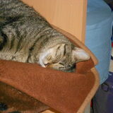 mily