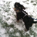 Baby's First Snow!!
