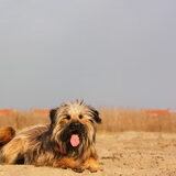 Foto van team Shadow