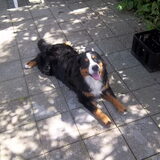 Foto van anja