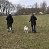 25-03-2013 In het bos kennis maken met Lex, mijn JR