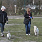 25-03-2013 In het bos kennis maken met Lex, mijn JR