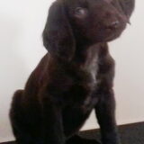 Floor.....ben ik niet lief???