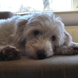 26-03-2013 Na de eerste nacht ziet alles er alweer anders uit