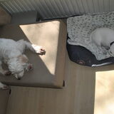 26-03-2013 Na de eerste nacht ziet alles er alweer anders uit
