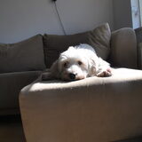 26-03-2013 Na de eerste nacht ziet alles er alweer anders uit