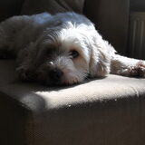 26-03-2013 Na de eerste nacht ziet alles er alweer anders uit