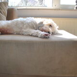 26-03-2013 Na de eerste nacht ziet alles er alweer anders uit