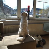 26-03-2013 Na de eerste nacht ziet alles er alweer anders uit