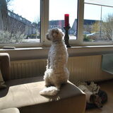 26-03-2013 Na de eerste nacht ziet alles er alweer anders uit