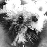love of my life.
