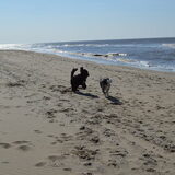 Foto van T&dogs