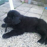 Foto van Anouk & Balou<3