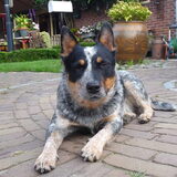 Foto van marcella,lola,fay