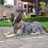 Foto van marcella,lola,fay