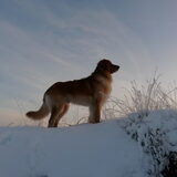 Foto van Loes