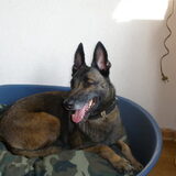 Dit is onze nieuwe aanwinst naar het verlies van onze dierbare hond…